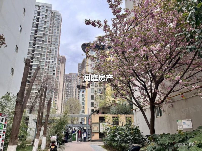 二环边成熟小区 带转角阳台大两室 南北通透小高层 手慢无,新兴骏景园