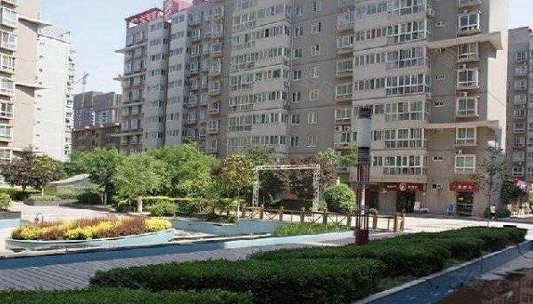 永兴租房市场动态解析：寻找理想住所的新路径
