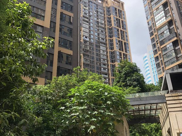 【多图】联发臻品,东葛路租房,东葛路上民族广场地铁口旁朝南户型钥匙