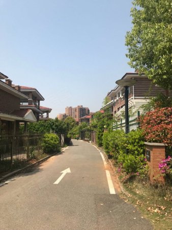 巢上城别墅 近大门 证满两年 前后花园 采光好-刘奔店铺-武汉安居客