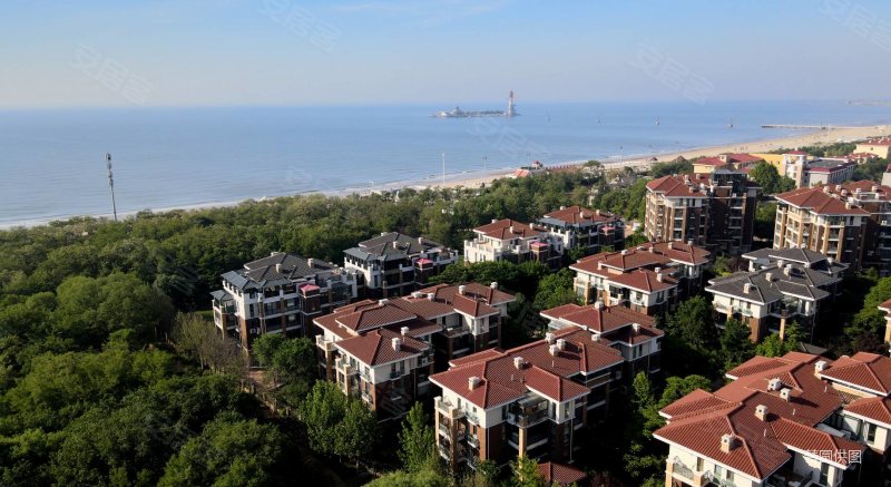 北戴河 戴河庭院 低密度 65超高绿化率电梯洋房,戴河庭院(别墅)二手房