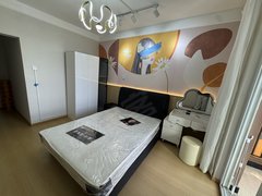 合肥新站三元开发区天元新城 佳海工业园 国轩 维信诺 京东方独立卫生间带大阳台出租房源真实图片