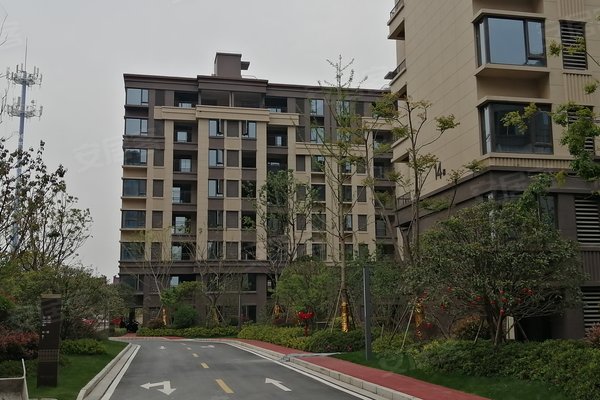 陈小东解读:1公里就是王江泾中心.-嘉兴安居客