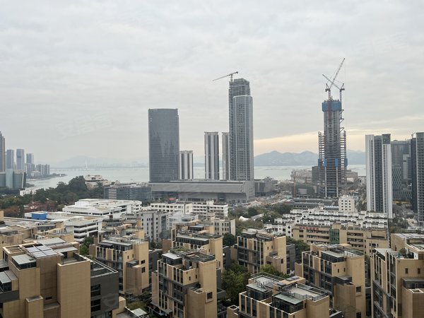 深圳南山蛇口鲸山觐海鲸山觐海 4室2厅2卫 豪华装修 202平 南北通透