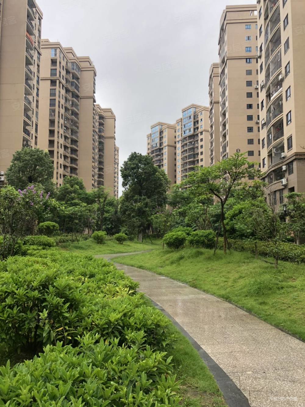 房东诚意出售,南安商圈,大霞美丽景新城,电梯高层,高性价比