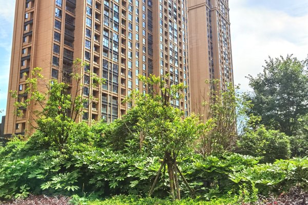 不足,中都巴黎城怎么样,中都巴黎城周边房产中介经纪人评价-孝感安居