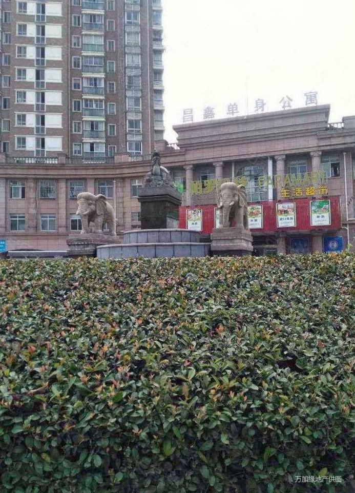 经典户型,被淘出来的好房.别在观望拉!,昌鑫花园(公寓住宅)二手房,245