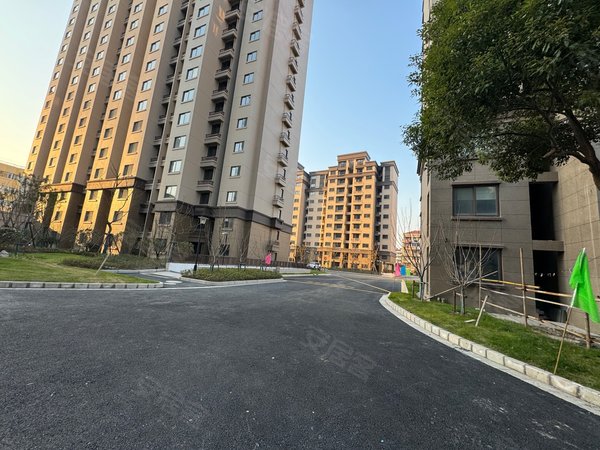 上海杨浦杨浦大桥农房万阳公寓全新毛坯房,南北直通全明户型,租金便宜