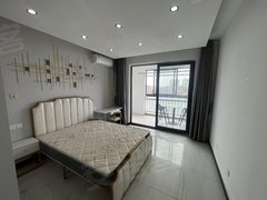 上海嘉定马陆保利阳光湖畔 超大一居室 带阳台 客厅 看中随时领包入住出租房源真实图片