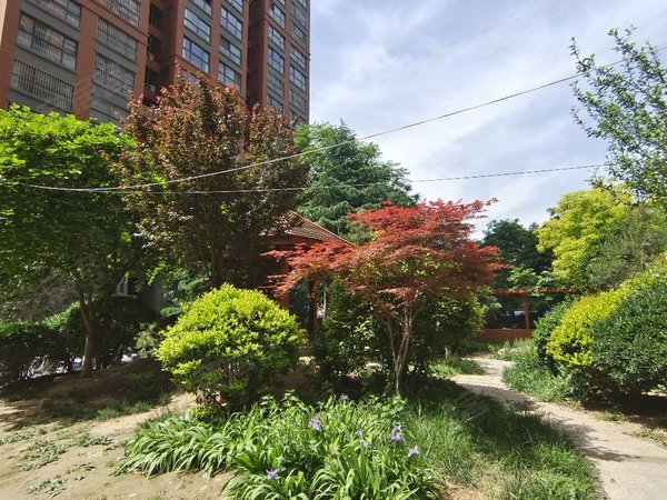 西安高陵泾河工业园水榭花都水榭花都精装一室,电梯房,出租面积22.