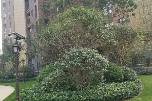 湖北孝感的人口碑如何_湖北孝感(2)