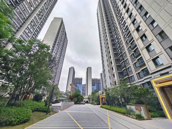 南京秦淮大校场金地大成雅境真实在租 金地大成雅境 13套127平  中医