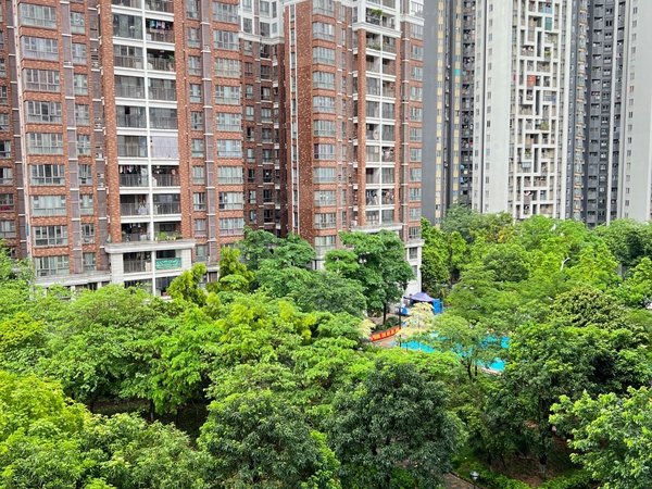 广州天河车陂阳华国花苑全新出租 阳华国花苑 3室2厅2卫 南北通透 精