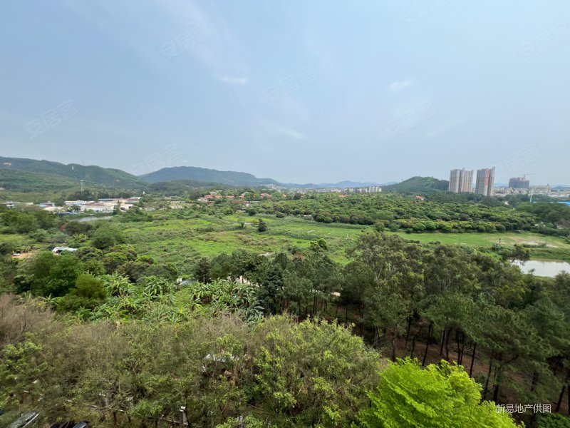 金碧御水山庄  单价7千买大平层140方  视野开阔