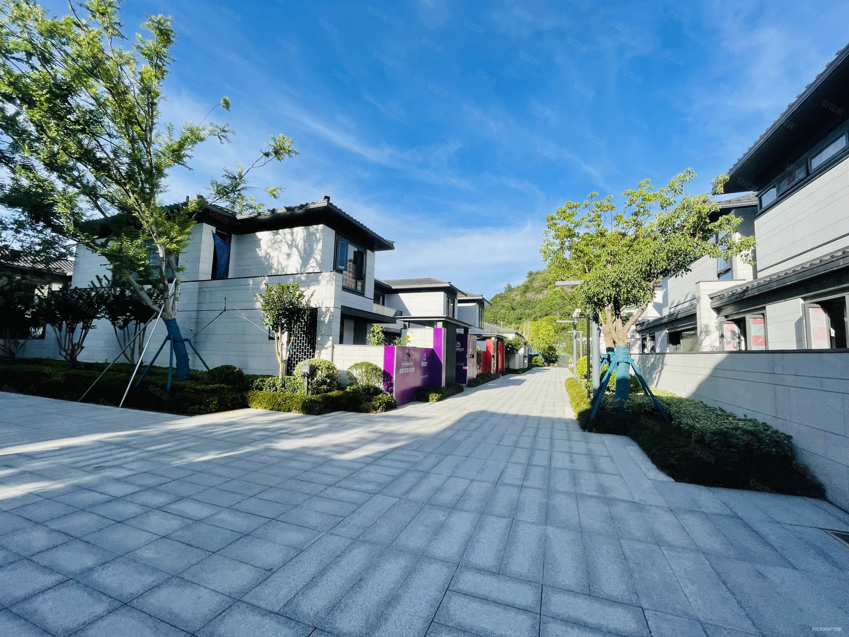 别墅里的电梯洋房 总高5层带电梯 可观狮子山景观 价格可谈,山水樾