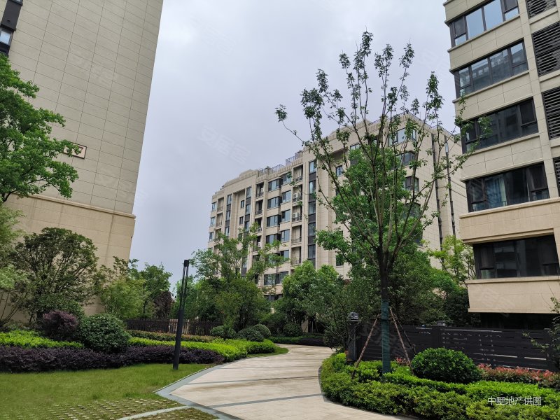 金茂悦4室2厅2卫148.24㎡南北510万