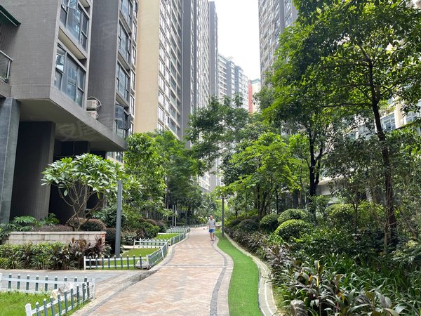 【多图】百丽名苑,观澜租房,急租!