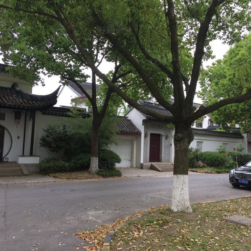 江枫园专家解读