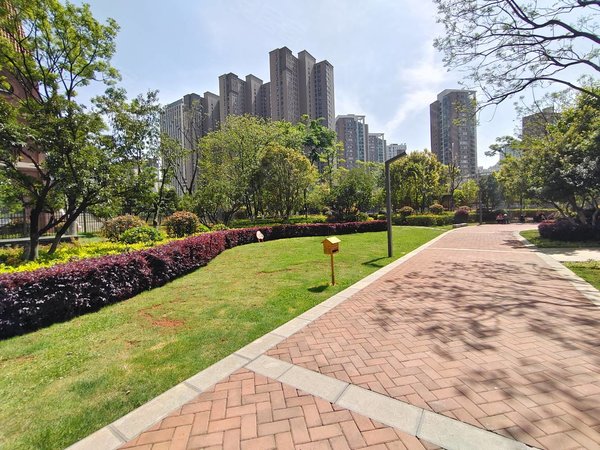 可配床!城市公园广场!出租房源真实图片