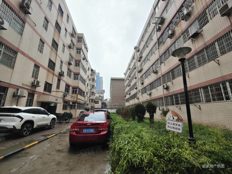 长安广场步行街师范小区中间楼层3室两卫全明急售