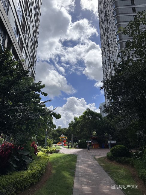 厦门房产网>厦门二手房>海沧二手房>滨海社区二手房>融信海上城>488