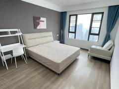 怀化鹤城城中市中心家电齐全电梯房 价格美丽 潮流特区 新悦城 昌顺广场出租房源真实图片