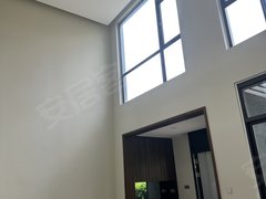 海口秀英西海岸海口市西海岸品质小区双拼别墅出租房源真实图片