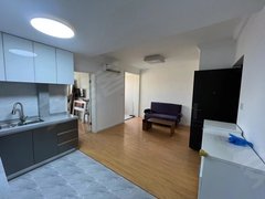 上海浦东三林精装修 宠物友好 首刺出租 停车方便近地铁 近盒马 金谊广场出租房源真实图片