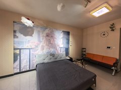 三门峡湖滨湖滨城区万达隔壁 建业壹号城邦 押一付一出租房源真实图片