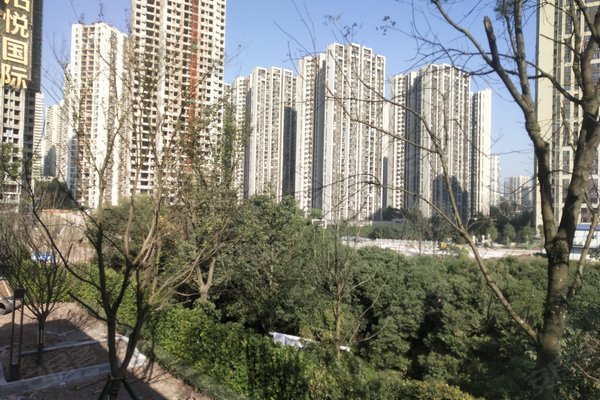 洺悦国际怎么样,好不好_中介房产经纪人:豆向飞对洺悦国际的评价-重庆