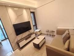 深圳龙华深圳北站鸿荣源天俊49平精装修1室1厅1卫民水民电家私齐全随时看房出租房源真实图片