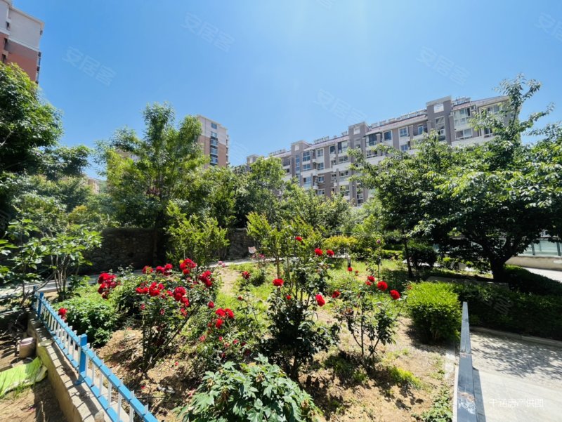 蓝山海岸一楼带小院 东边户望海山海城 维多利亚 阳光海寓