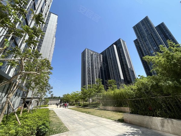 广州白云金沙洲金沙大都汇金沙大都汇 精装南向五房 大面积性价比高