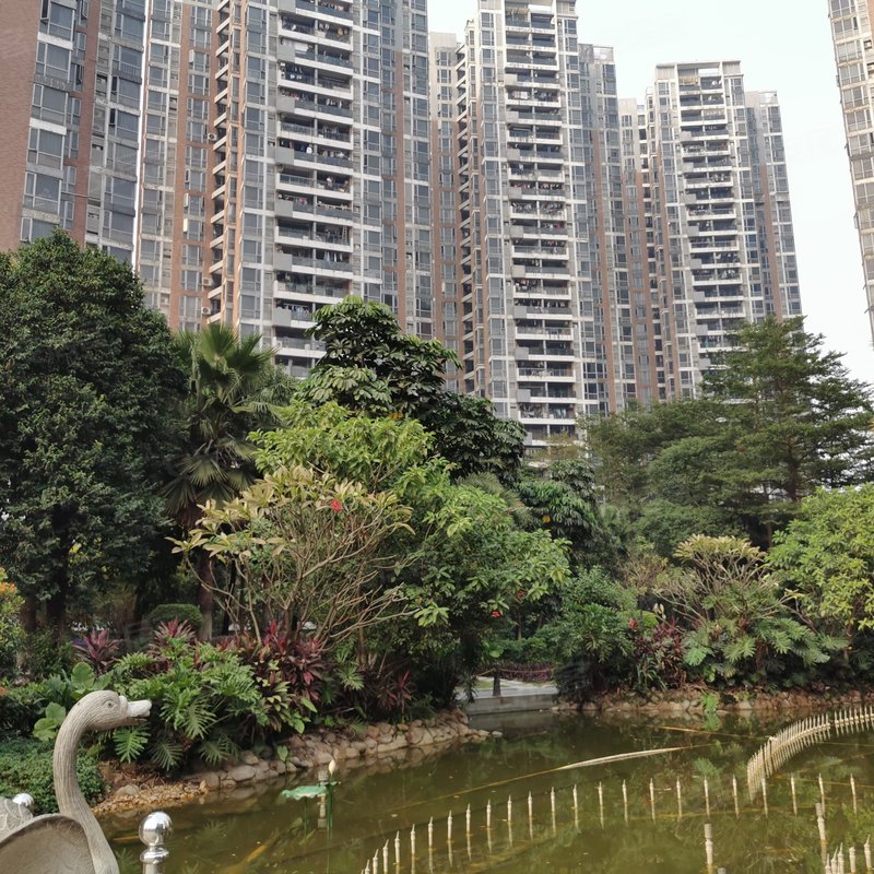 【鹿港小镇, 鹿港小镇小区专家解读页】- 东莞58同城