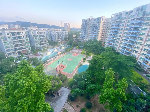 东莞常平横江厦金田花园金田花园2房改3房便宜出租南北通透户型方正