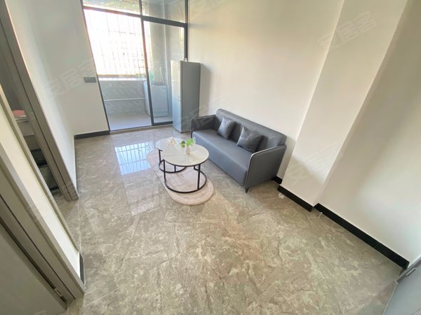 深圳布吉丹竹头园墩小区丹竹头地铁口 近星悦天地 精装两房一厅带阳台