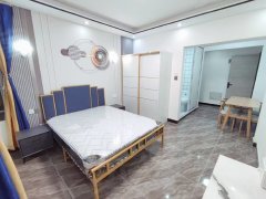 上海嘉定江桥新城实图拍摄，高潮新苑  一室一厅，精装修  电梯房出租房源真实图片