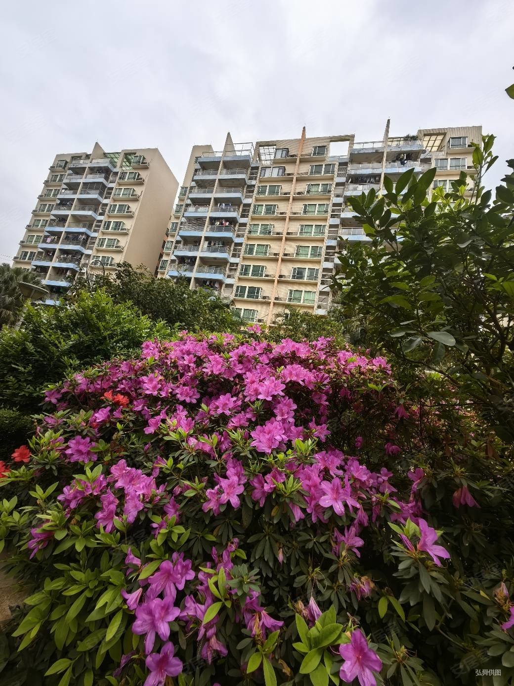 金田花园次新房出售拎包入住