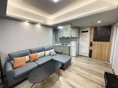 惠州惠东平山嘉旺城精装修独立一房一厅 拎包入住 大沙发 欧式床出租房源真实图片