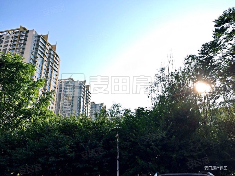 百环家园3室2厅2卫139㎡西810万