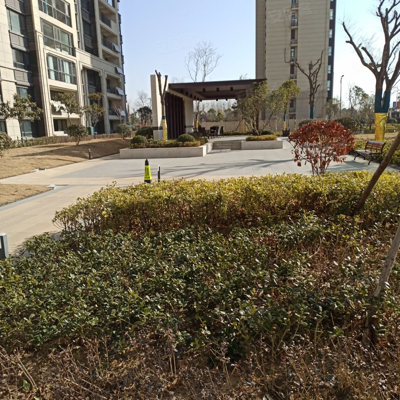 【天铂(建湖), 天铂(建湖)小区详情,房价走势,房源,业主论坛】- 盐城