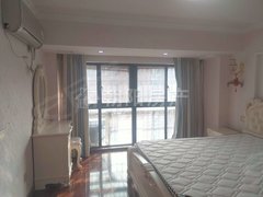 淮南田家庵万达广场真干净！第一次出租 金地复式公寓 朝南精装 拎包入住出租房源真实图片