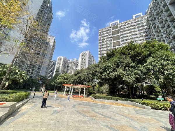【多图】华南西苑,平湖租房,华南西苑 平层两房 精装 朝南 采光好