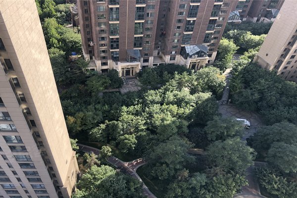 唐城壹零壹(公寓住宅),友谊路-唐山唐城壹零壹(公寓住宅)二手房,租房