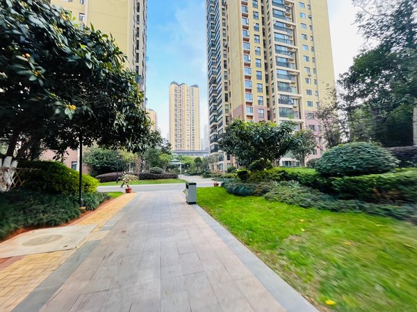 【多图】金坤尚城长乐里,滇池路片区租房,万达旁 清爽两室带储物间