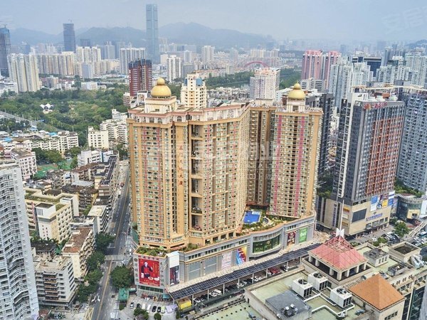 深圳罗湖东门东门天地大厦晒布地铁站 东门天地大厦 精装三房 高楼层