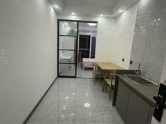 湖州吴兴织里城市之光一室一厅一厨一卫出租出租房源真实图片