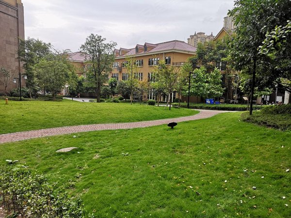 重庆两江新区回兴申佳上海时光真实在租 人车分流小区 通车库 保持