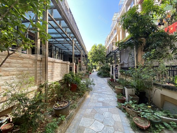 深圳龙岗平湖御峰园(别墅)400万豪装  联排墅  期待高品位的您出租