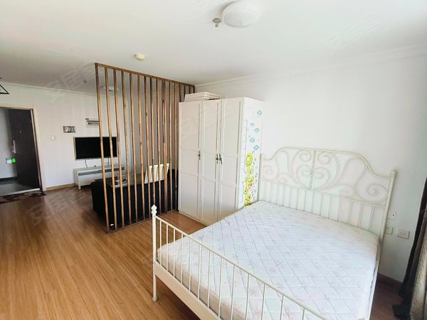 【多图】保利达大象,奥体中心租房,豪华装修,干净整洁,近地铁近公园